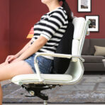 NIXGEN Lumbar Support Cushion - Image 6